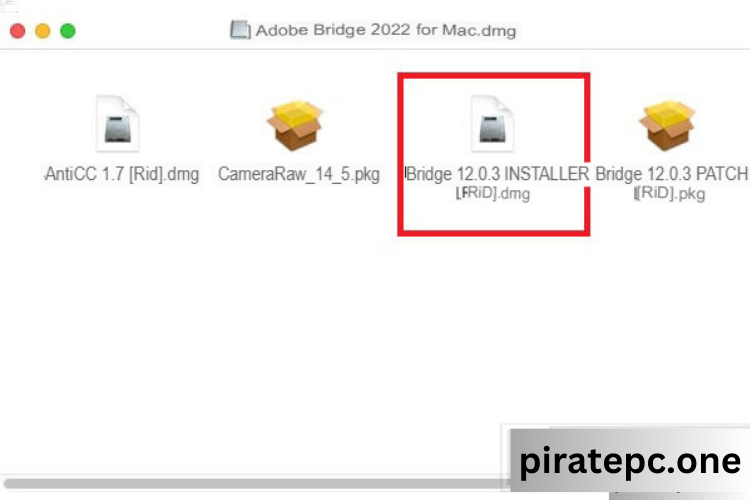 Adobe Bridge 2022 Activates Indefinitely Free Download and Full Installation Instructions for Windows and Mac