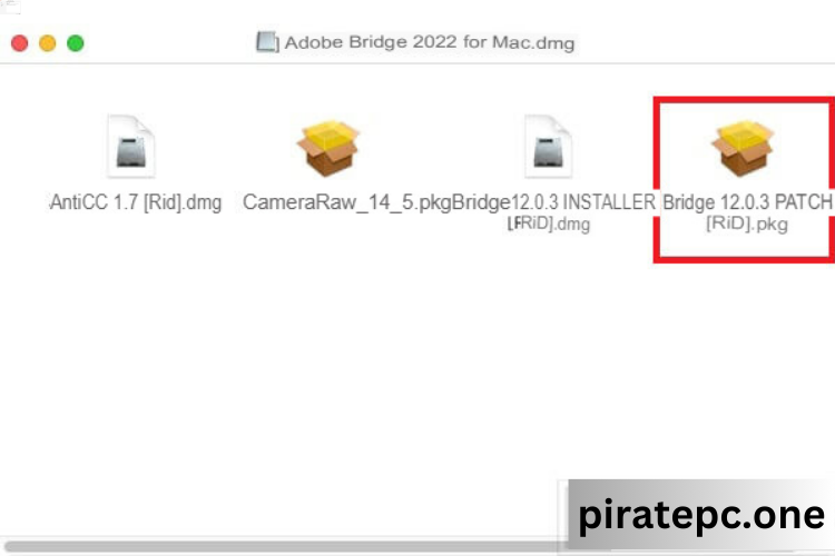 Adobe Bridge 2022 Activates Indefinitely Free Download and Full Installation Instructions for Windows and Mac