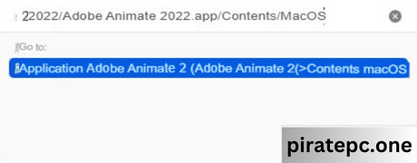  Adobe Animate 2022