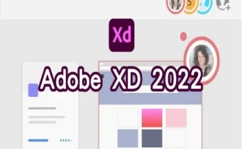 Adobe XD Free Feature image