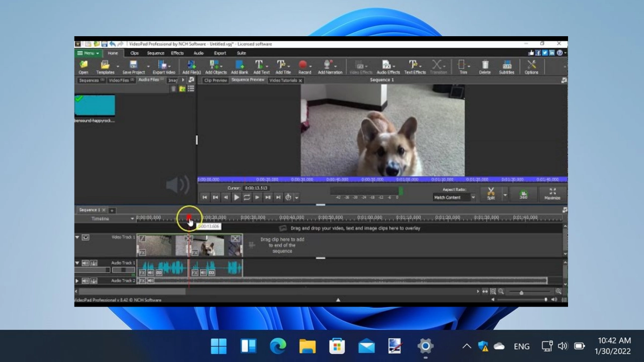 NCH VideoPad Pro Free Download Full Version For PC Portable And Multilingual