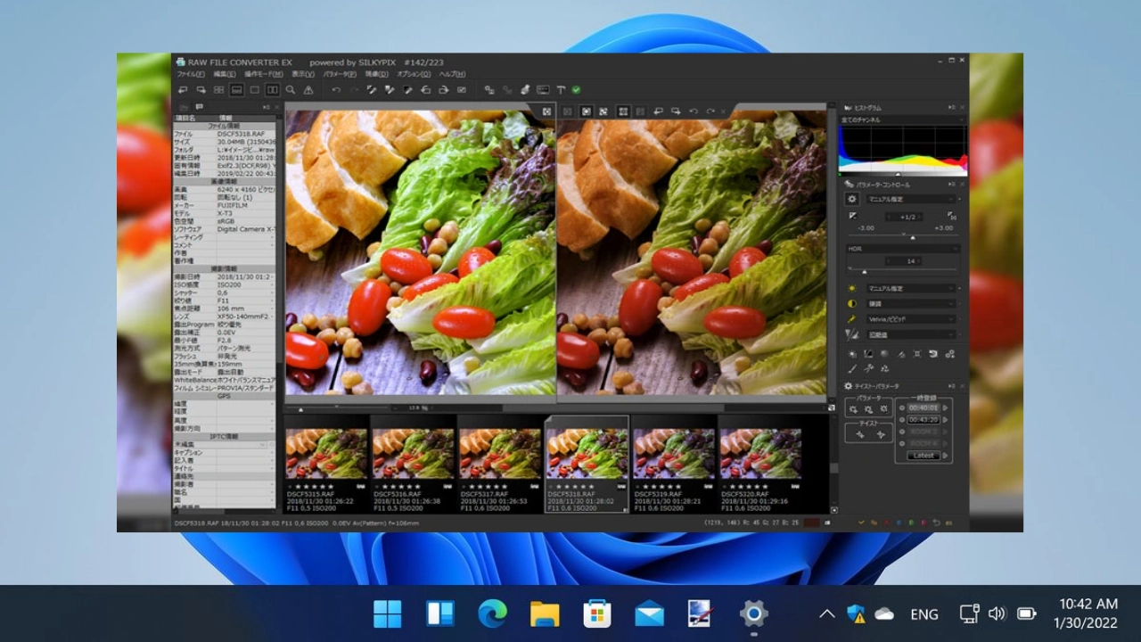 SILKYPIX RAW Converter For PC Portable And Multilingual