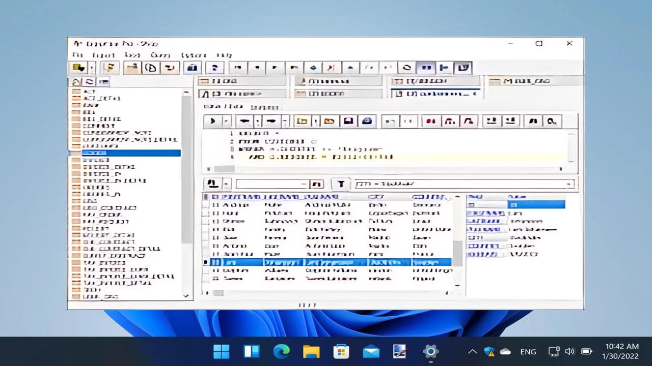 Exportizer Enterprise For PC Portable And Multilingual