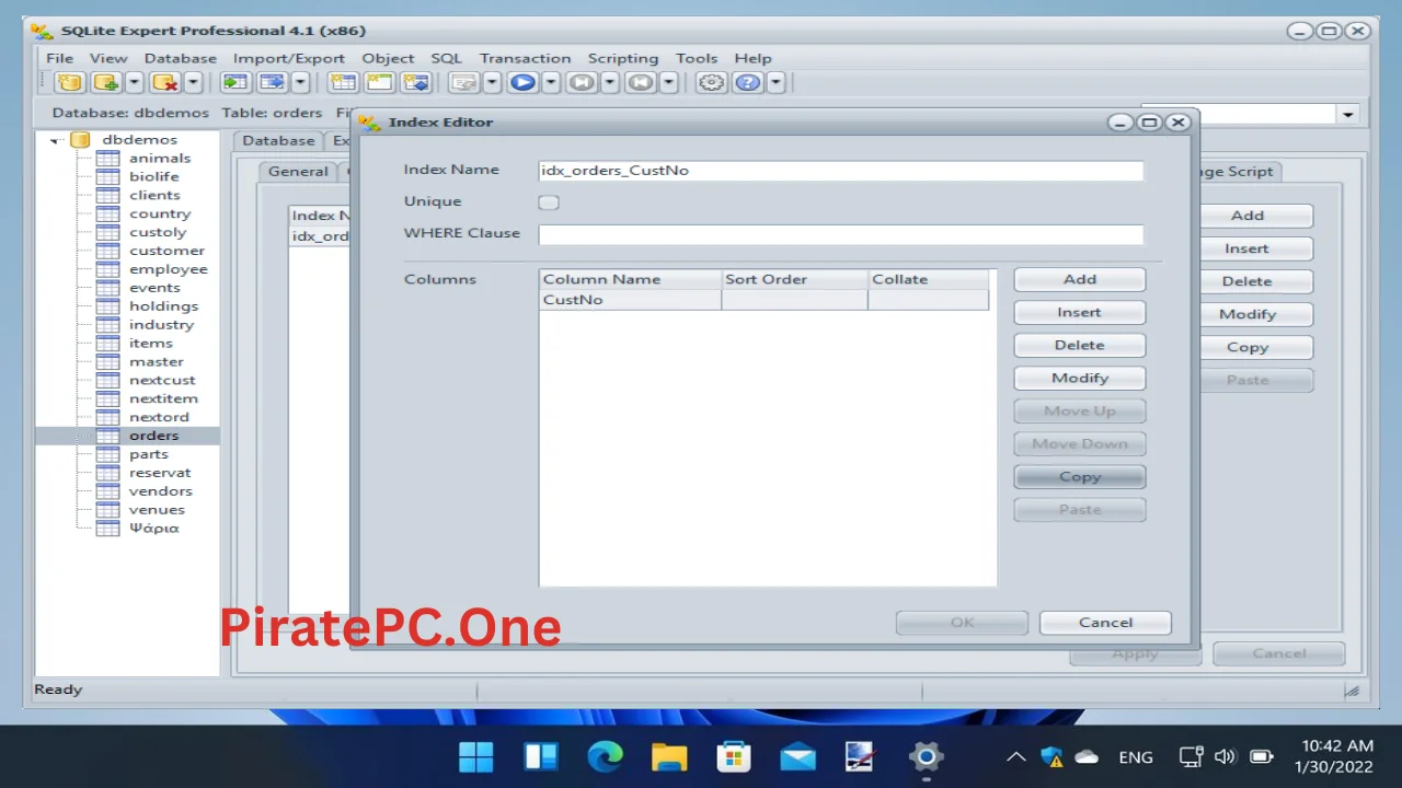 SQLite Expert Professional for OneNote Full Version For PC Portable And Multilingual