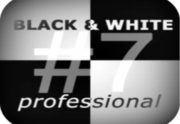 Franzis BLACK & WHITE Professional Feature image