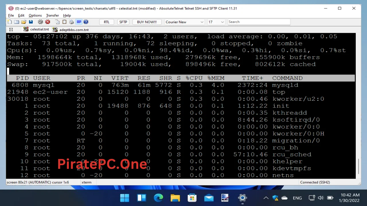 AbsoluteTelnet For PC Portable And Multilingual