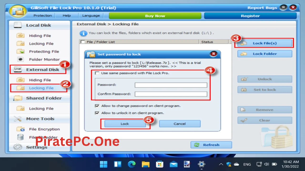 GiliSoft File Lock Pro Full Version For PC