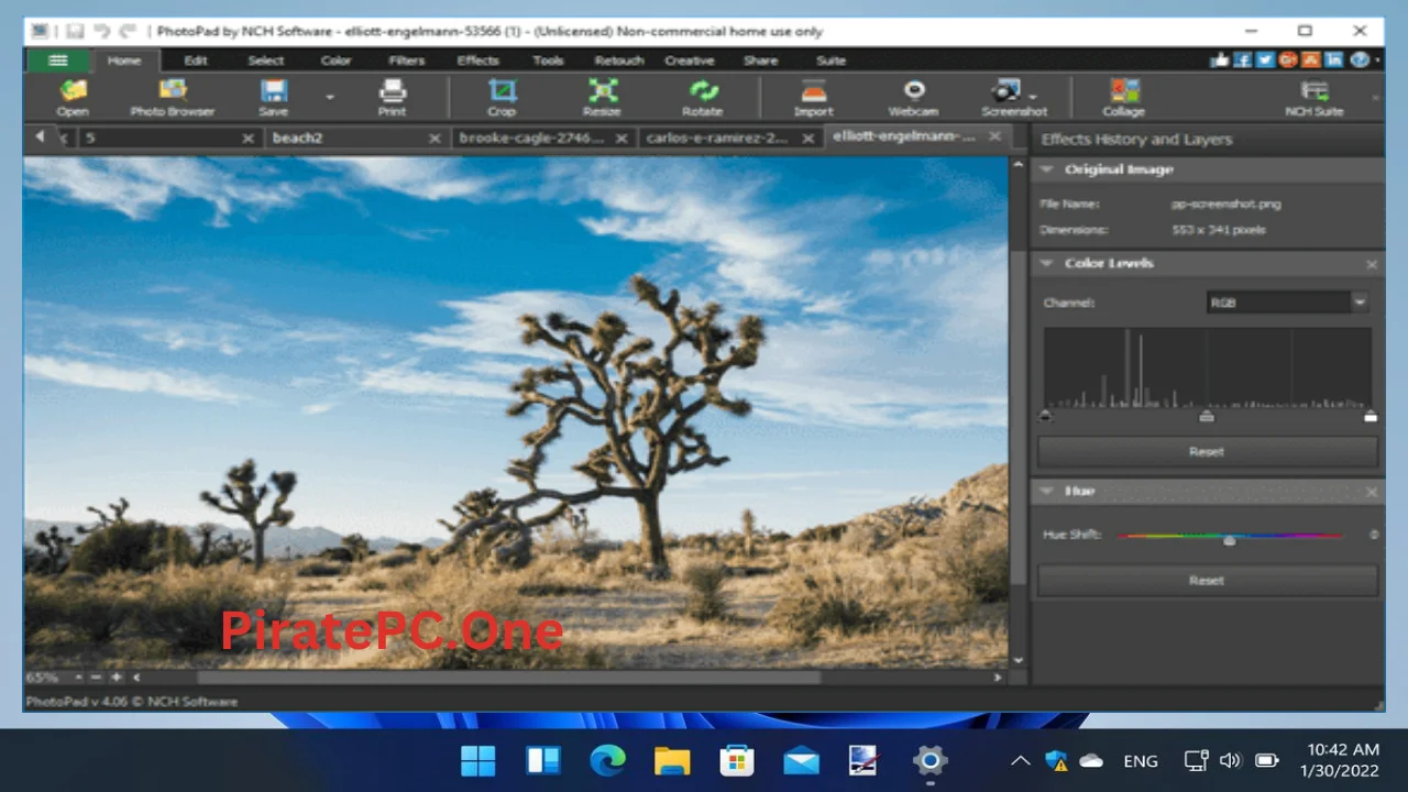 NCH PhotoPad Professional For PC Portable And Multilingual