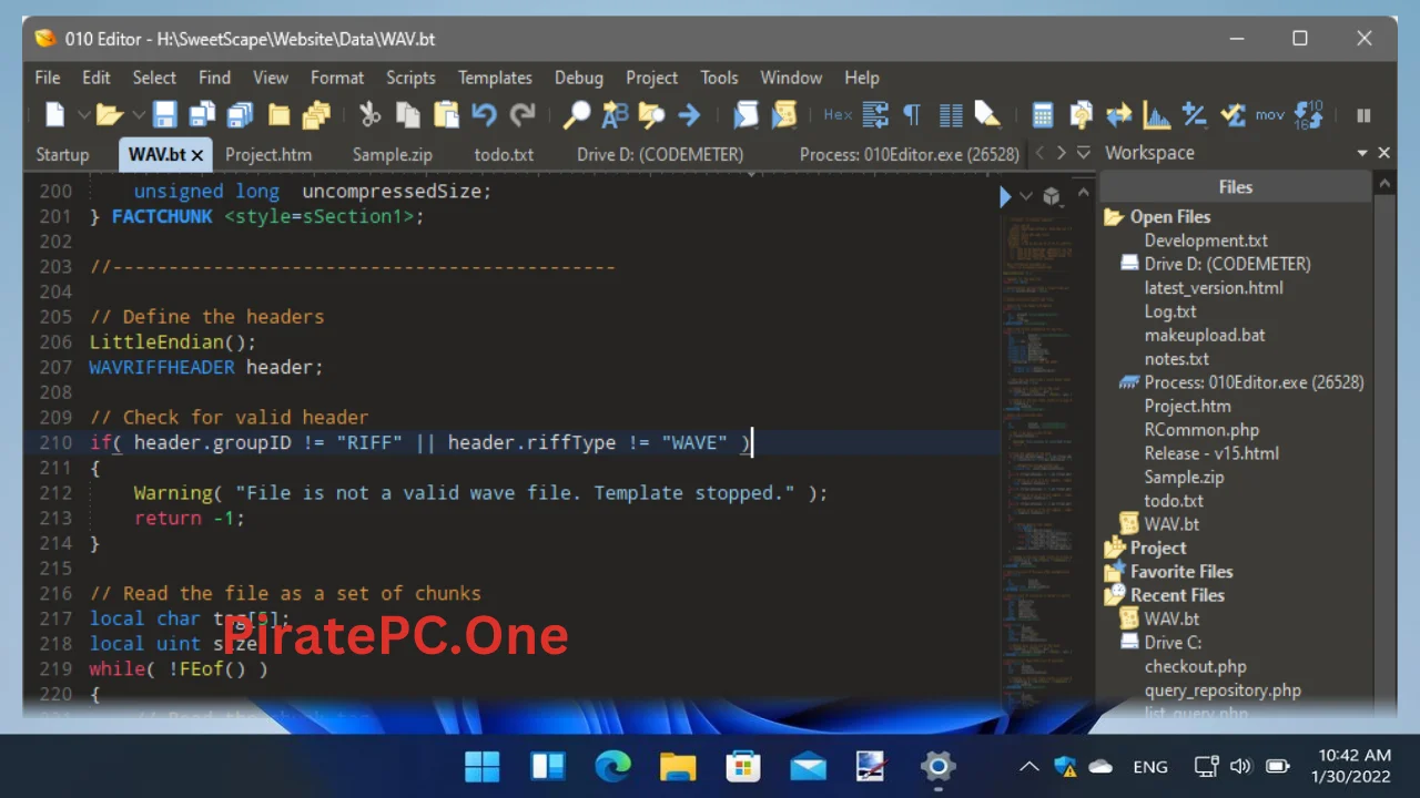 SweetScape 010 Editor For PC Portable And Multilingual