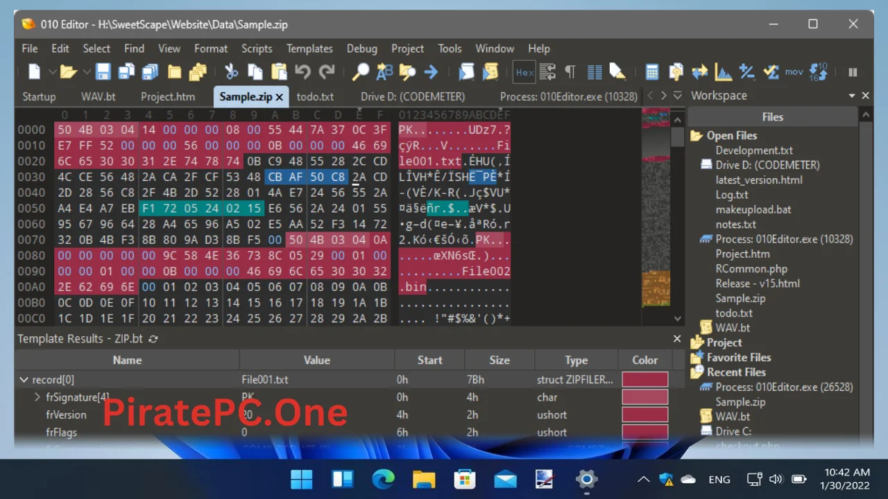 SweetScape 010 Editor Full Version For PC