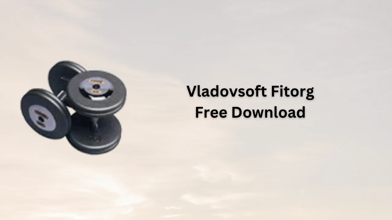 Vladovsoft Fitorg Serial Key