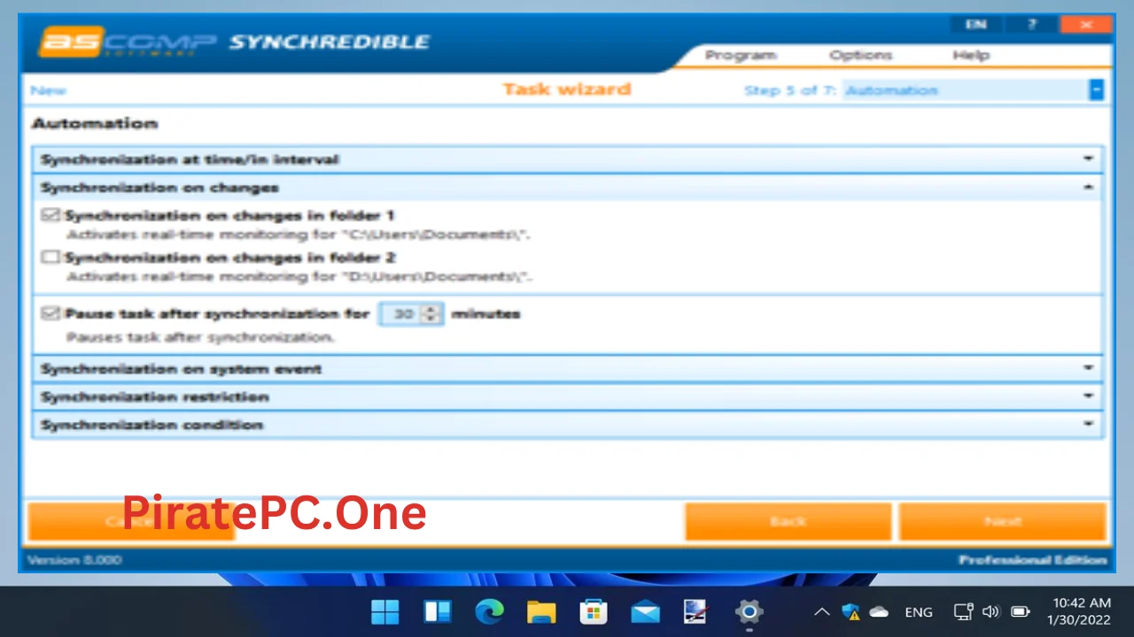 Synchredible Professional Full Version For PC