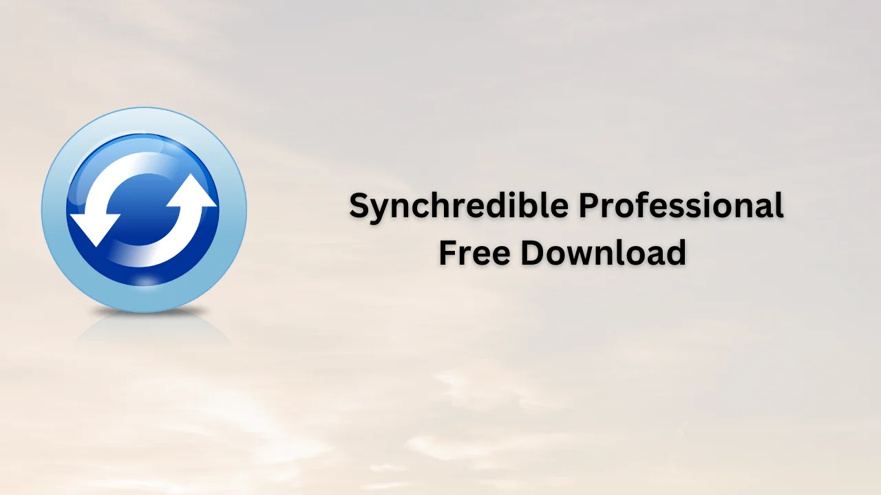 Synchredible Professional Serial Key